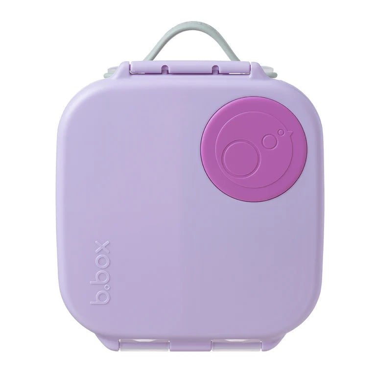 Mini Lunchbox