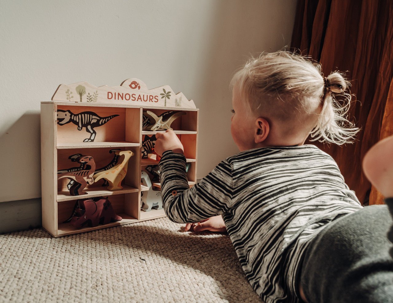 1 Piece Dinosaur Display Shelf Set - Aster & Ruby