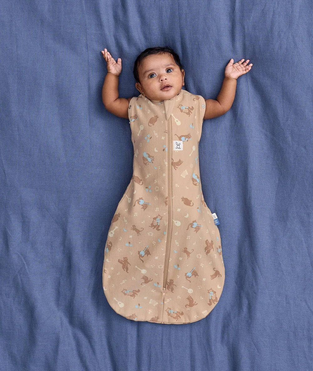 Cocoon Swaddle Bag 1.0 TOG Melody