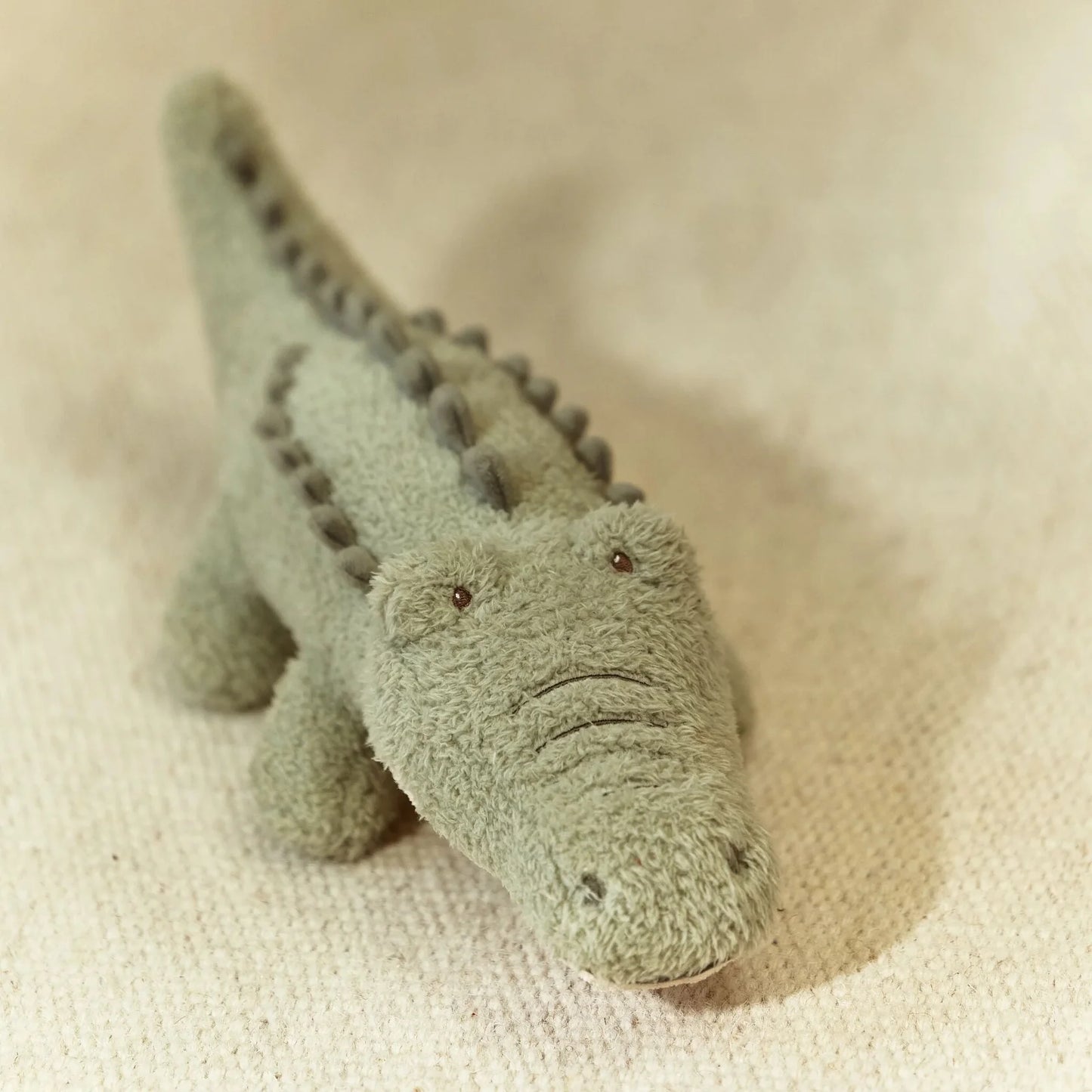 Cuddle Crocodile