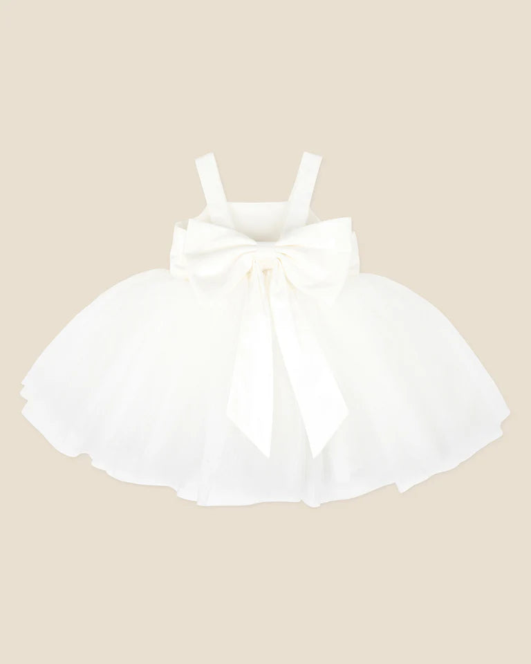 Embroidered Bodice Tulle Dress - Ivory