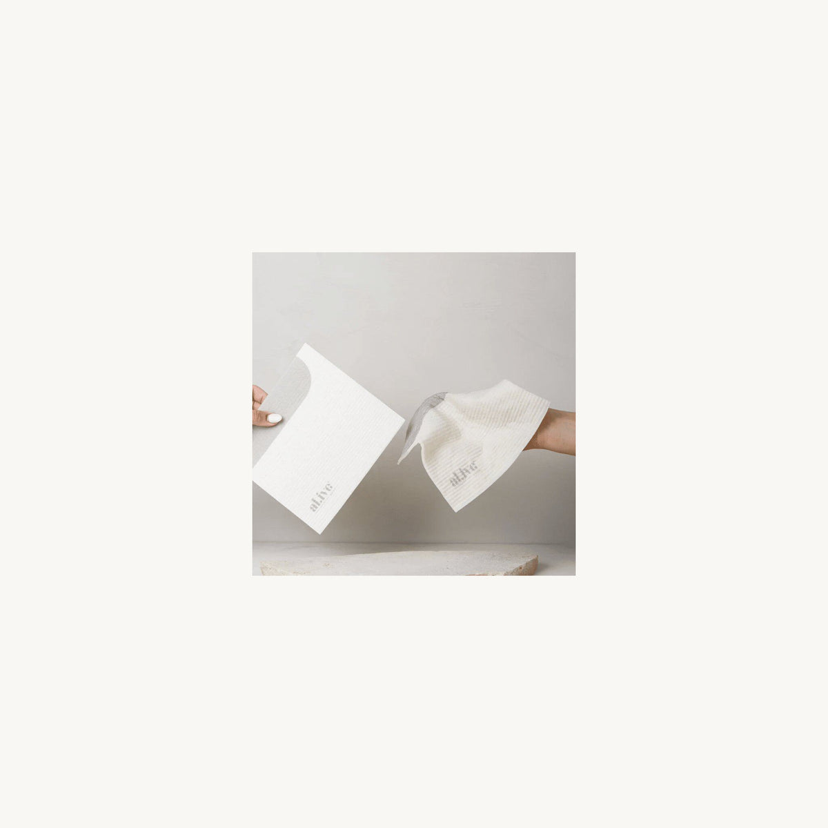 Al.ive Body Biodegradable Dish Cloth Pack of 2 | Aster & Ruby