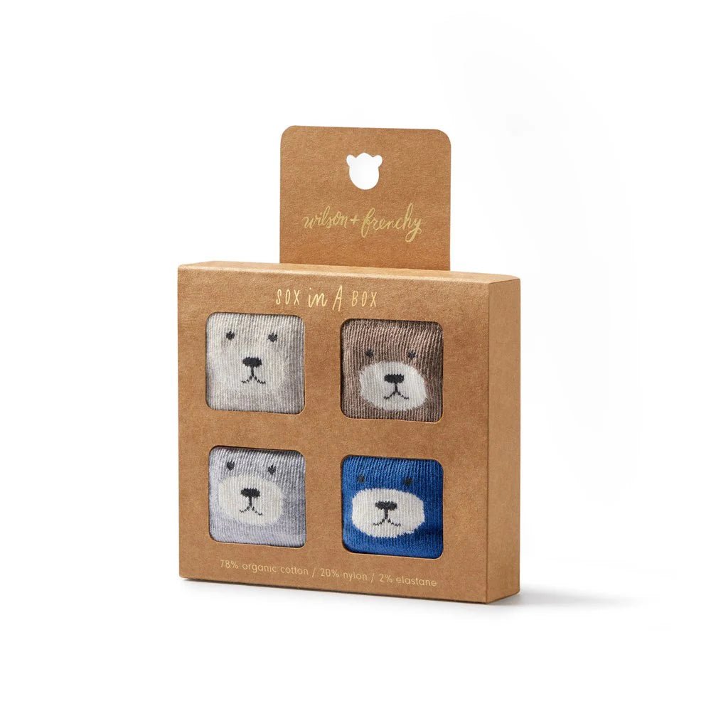 Boys Organic 4 Pack Baby Socks - Aster & Ruby