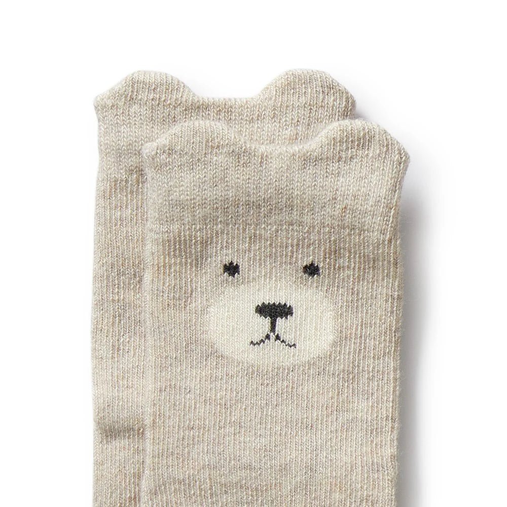 Boys Organic 4 Pack Baby Socks - Aster & Ruby