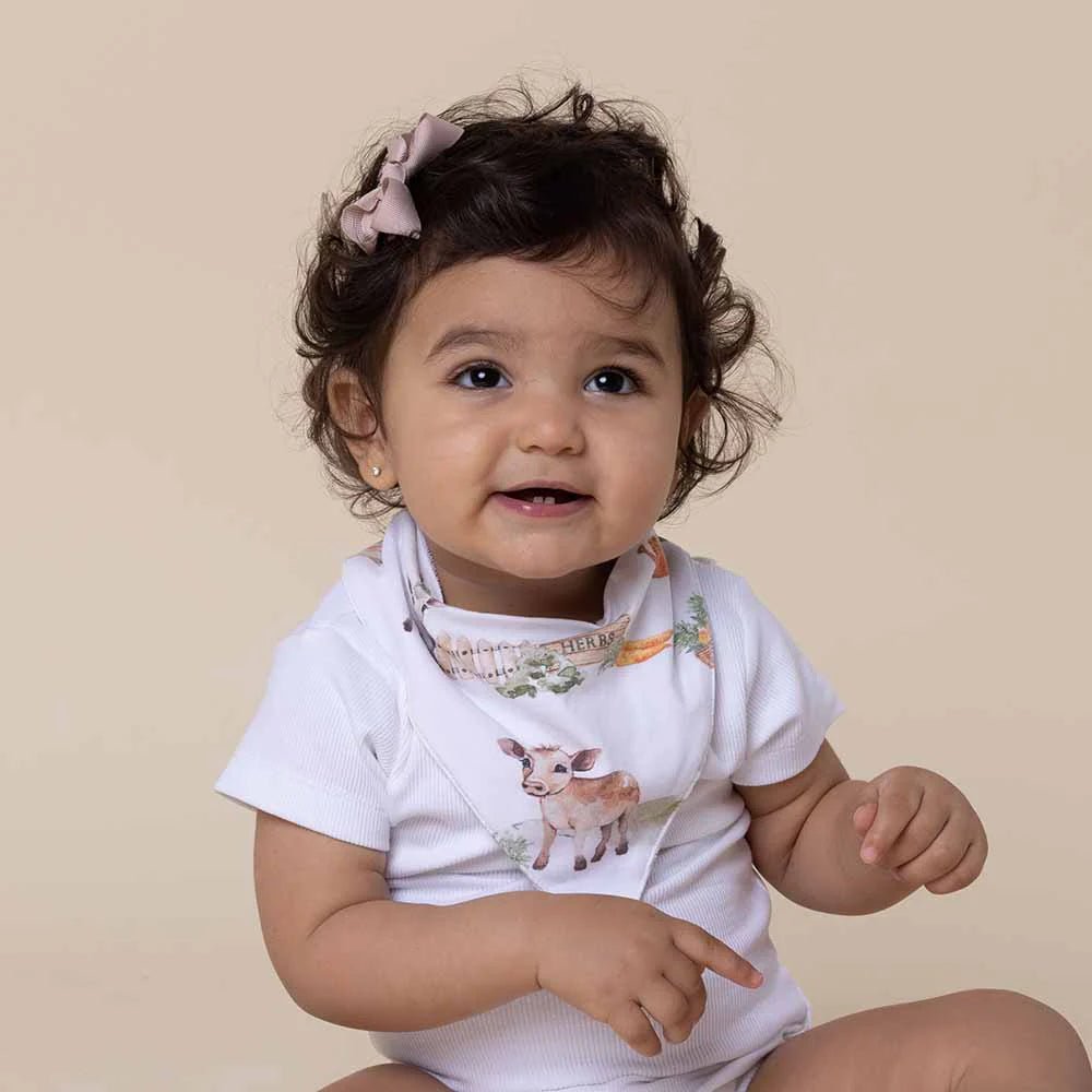 Farm Organic Dribble Bib - Aster & Ruby