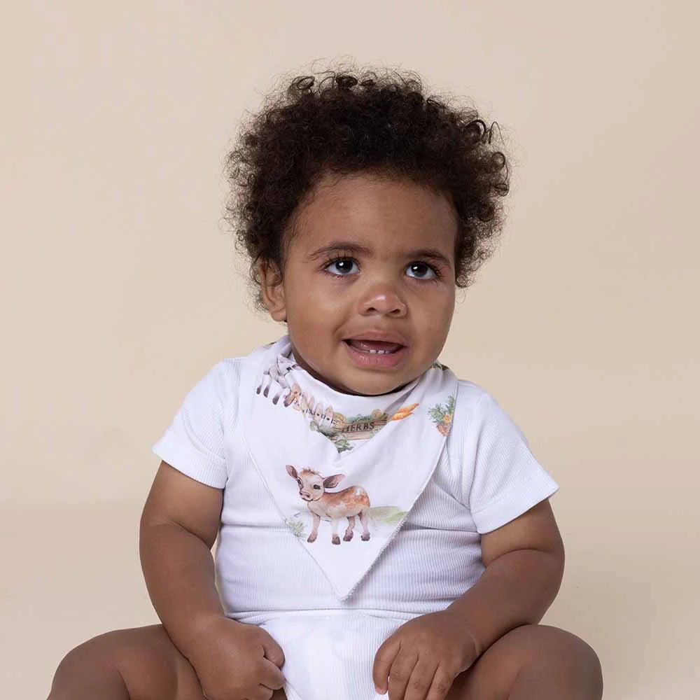 Farm Organic Dribble Bib - Aster & Ruby