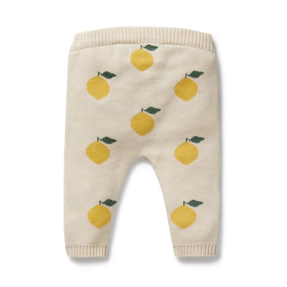 Lemony Organic Knitted Jacquard Legging - Aster & Ruby