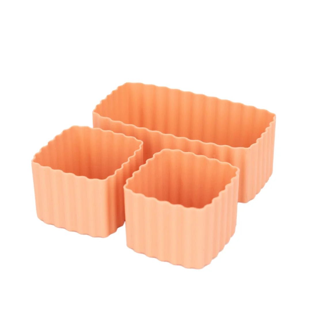 MontiiCo Mixed Bento Cups-Aster & Ruby