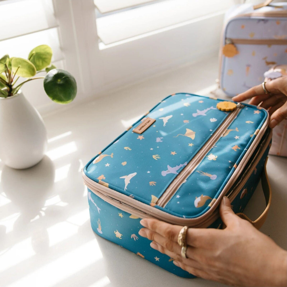 Fox & Fallow Ocean Creatures Marine Large Lunch Bag | Aster & Ruby