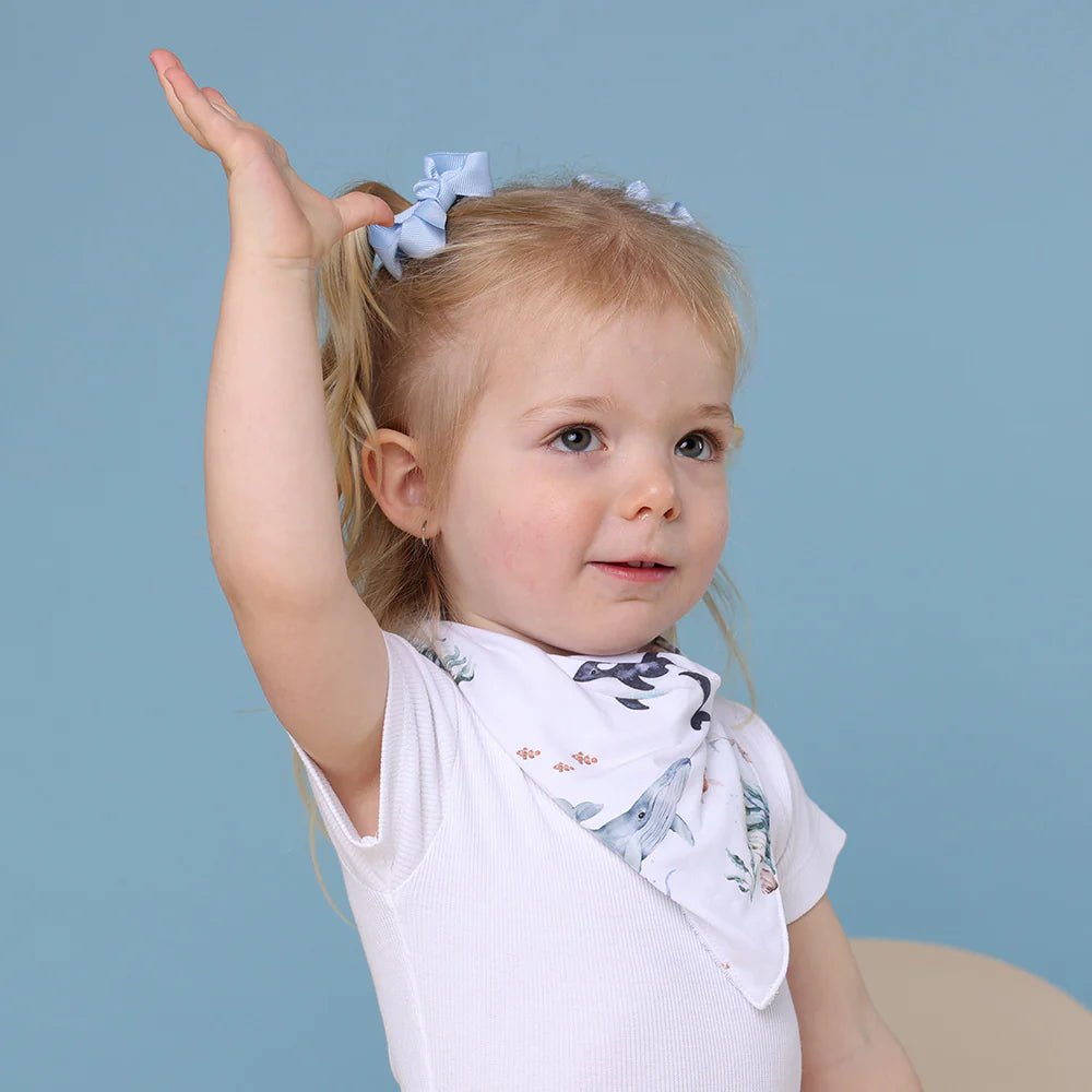 Ocean Organic Dribble Bib - Aster & Ruby