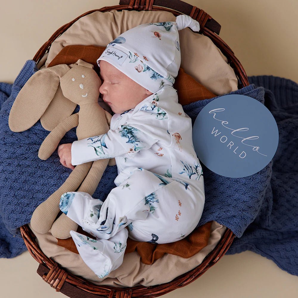 Ocean Organic Snuggle Sleepsuit Zip Footie - Aster & Ruby