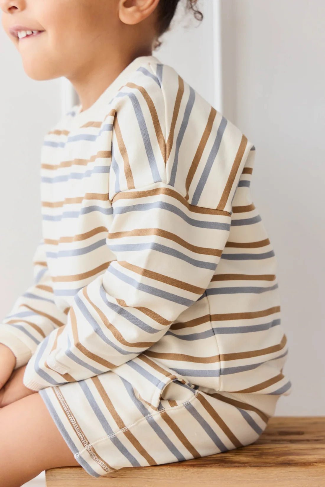 Organic Cotton Damien Sweatshirt - Hudson Stripe Tiger - Aster & Ruby