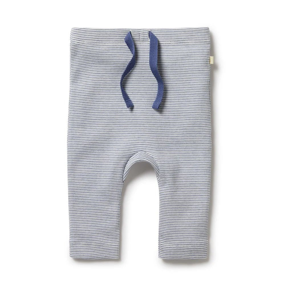 Rain Drop Organic Stripe Rib Leggings - Aster & Ruby