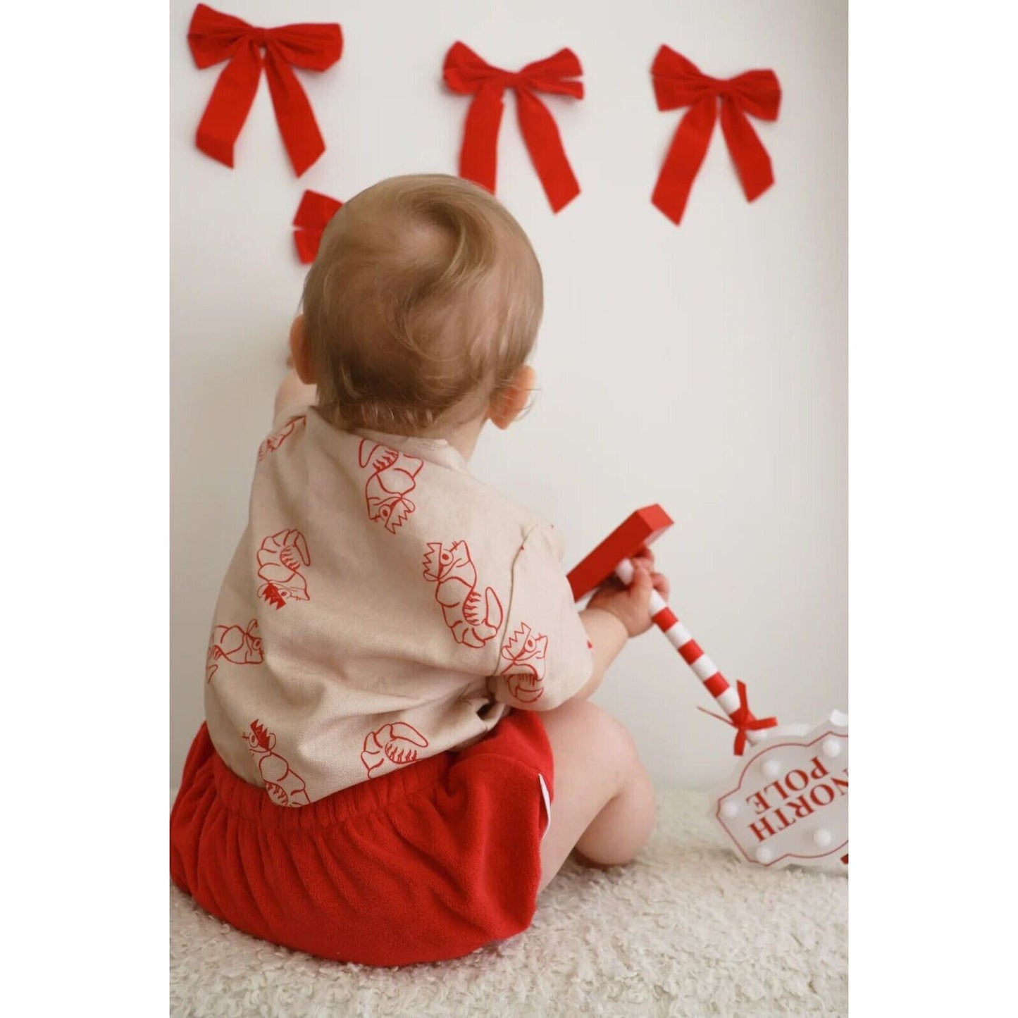 Ziggy Lou SHIRT | SHAWN THE PRAWN | Aster & Ruby