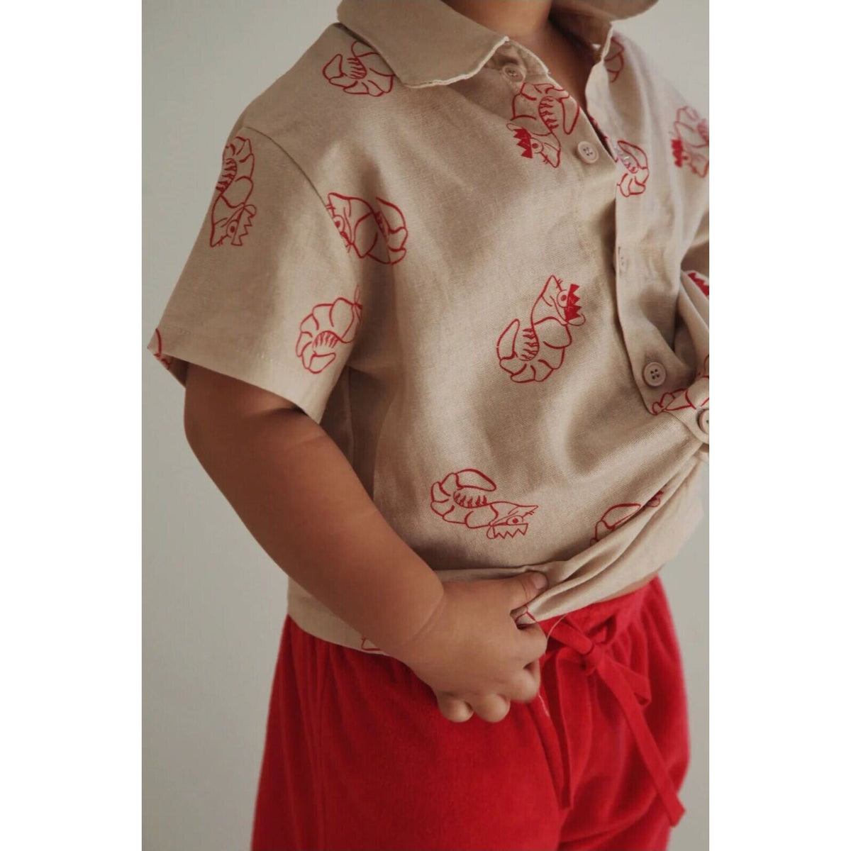 Ziggy Lou SHIRT | SHAWN THE PRAWN | Aster & Ruby