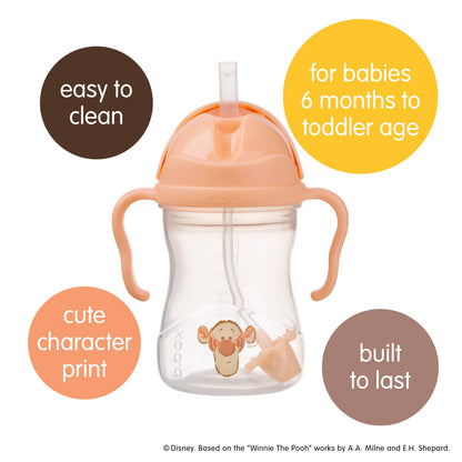 Disney Tigger Sippy cup