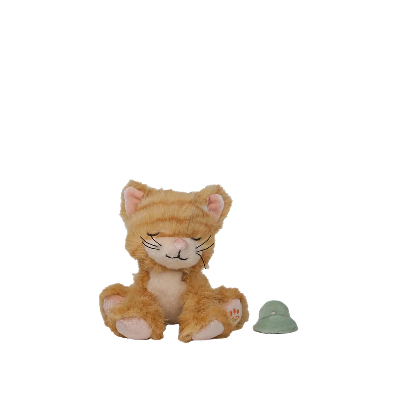 Binky Kitten Koda Ginger