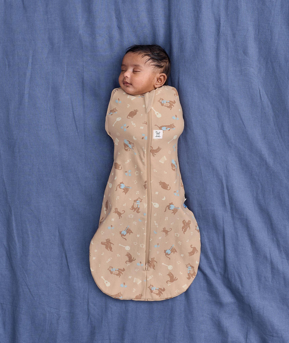 Cocoon Swaddle Bag 1.0 TOG Melody