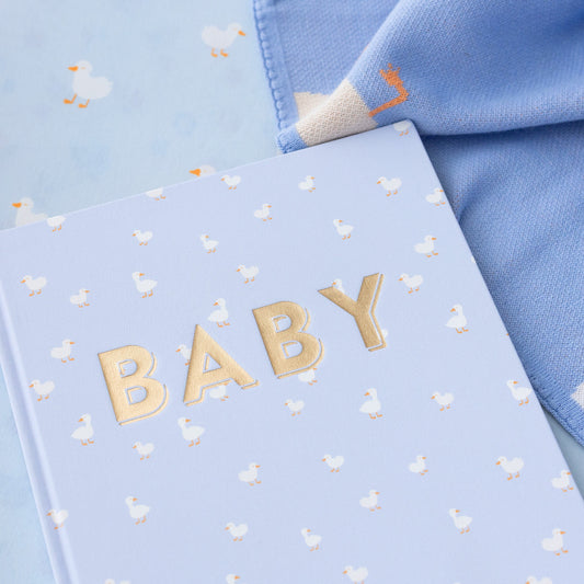 Baby Book Blue Ducks