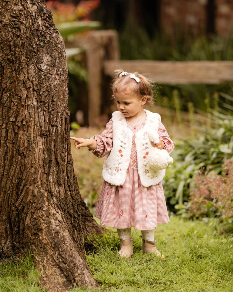 Orchard Bloom Embroidered Check Dress