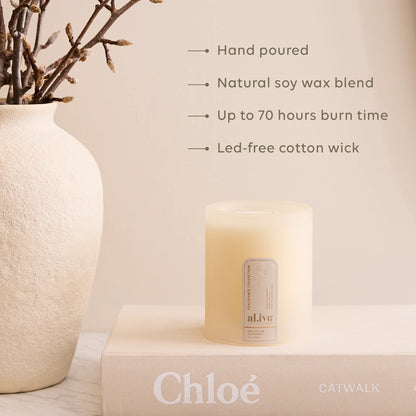 Soy Candle | Sea Cotton & Coconut