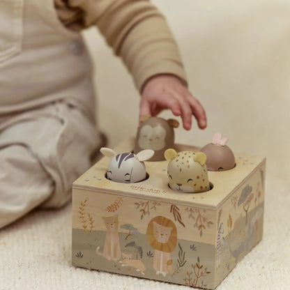 Wooden Pop Up Toy