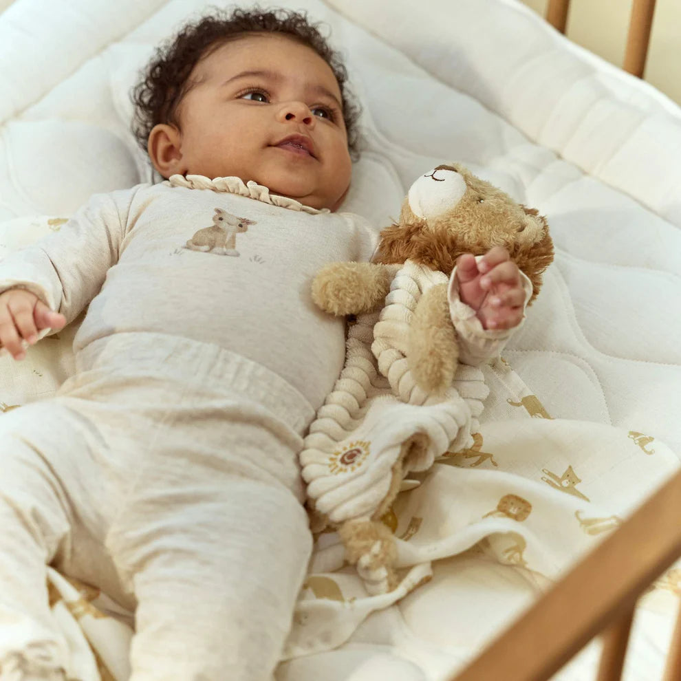 Cuddle Cloth Lion
