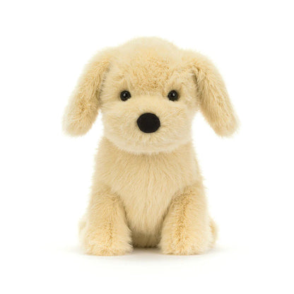 Golden Puppy