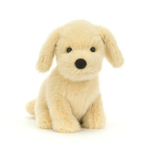 Golden Puppy
