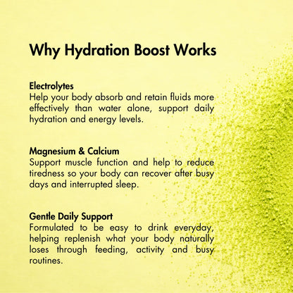 Lemon Lime Hydration Boost | 10 Single Serves