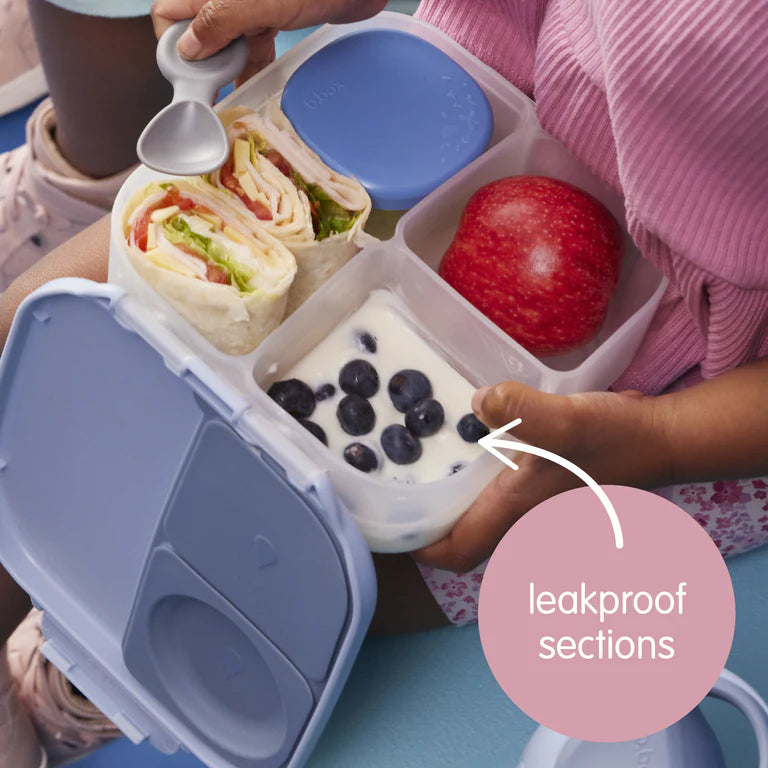 Mini Lunchbox