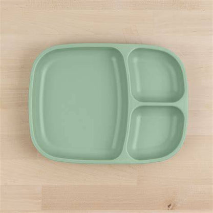 Divided Tray