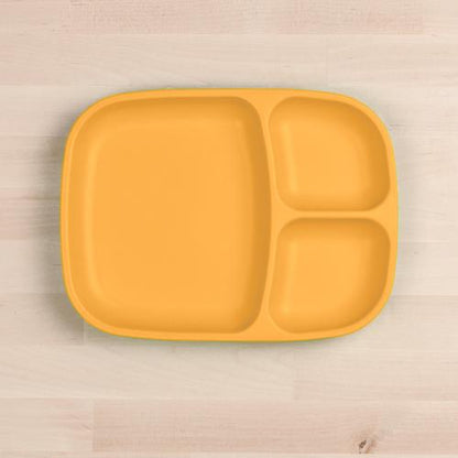 Divided Tray