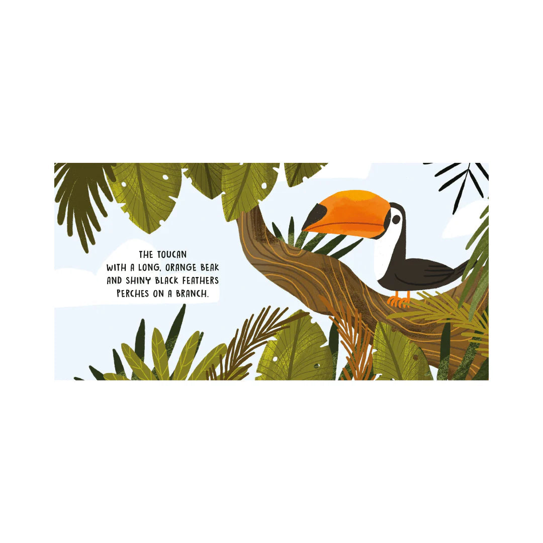 Sassi Sweet Sounds Stories – The Jungle | Aster & Ruby