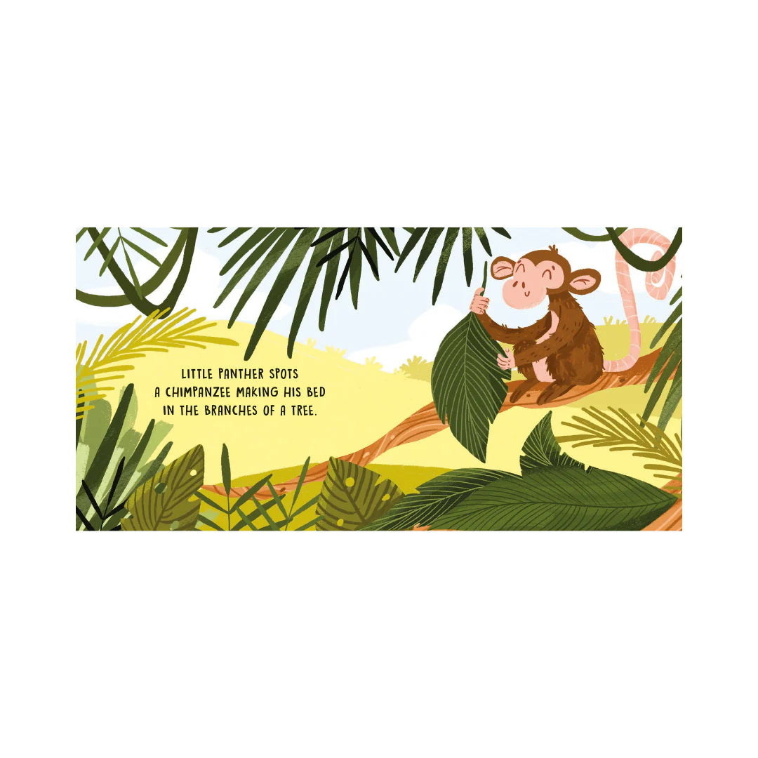 Sassi Sweet Sounds Stories – The Jungle | Aster & Ruby