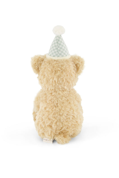 Jamie Kay Snuggle Bunnies – Birthday Arthur (Gingham) | Aster & Ruby
