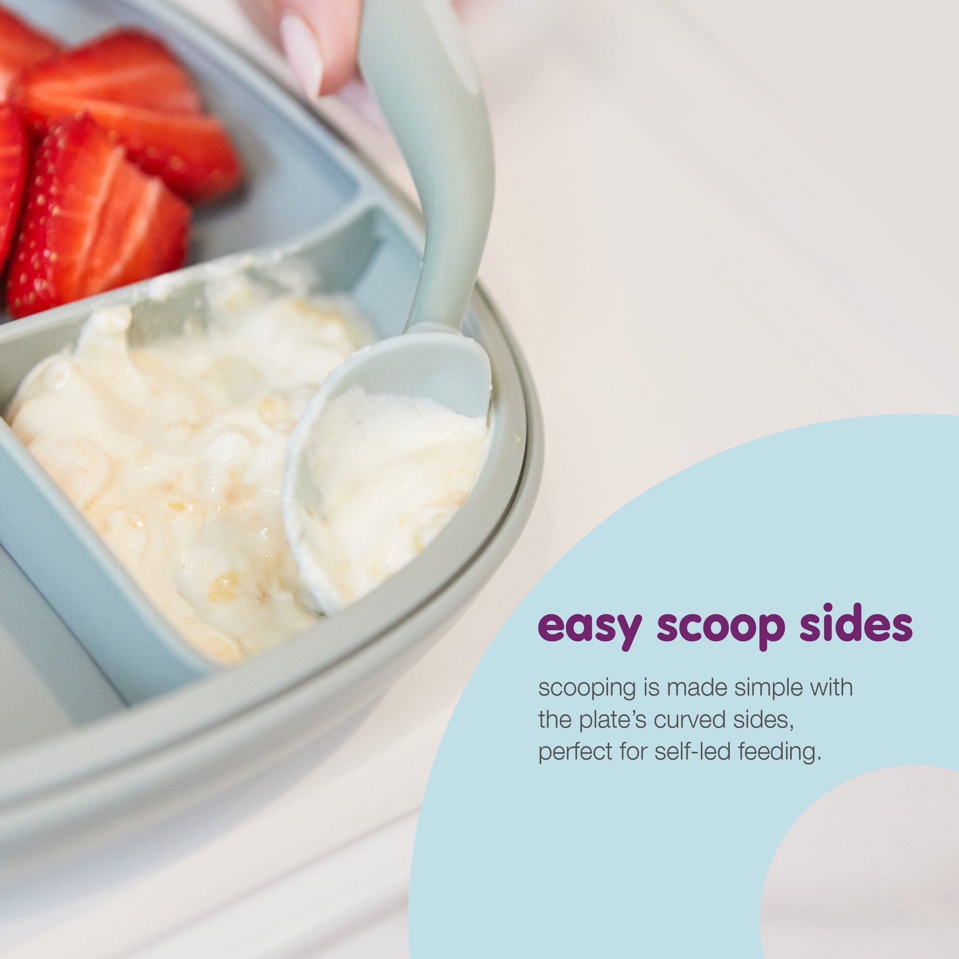 b.box 2-in-1 Suction Plate - Ocean | Aster & Ruby