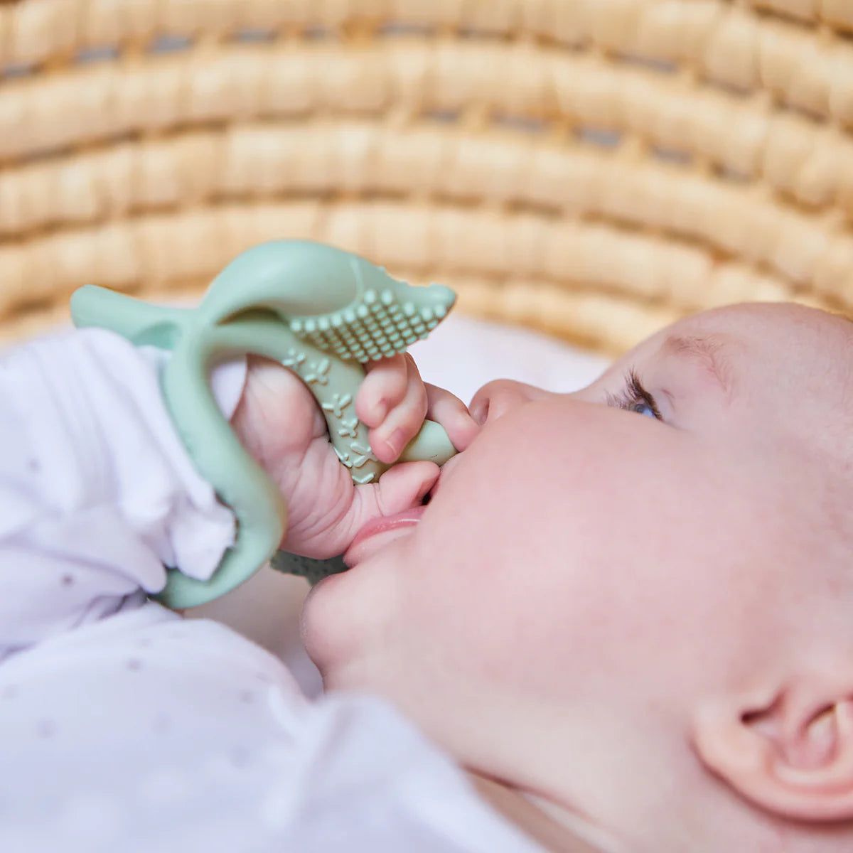 Sage Wrist Teether