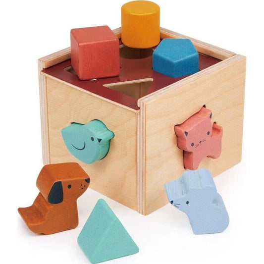 Mentari Bambino Shape Sorting Cube | Aster & Ruby
