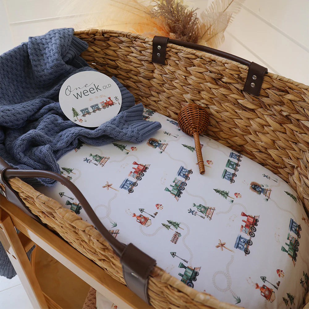 Trains Organic Bassinet Sheet / Change Pad Cover