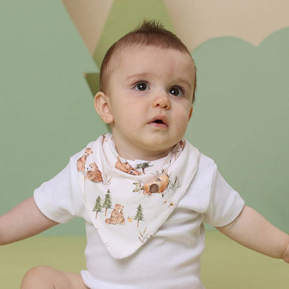 Bears Organic Dribble Bib - Aster & Ruby