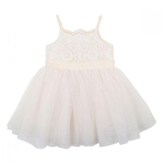 Bebe Champagne Lace Bodice Dress-Aster & Ruby