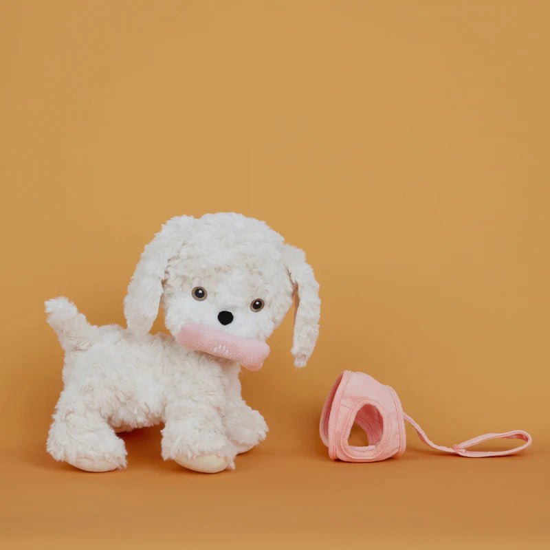 Dinkum Dogs Cookie - Aster & Ruby