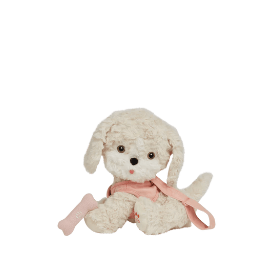 Dinkum Dogs Cookie - Aster & Ruby