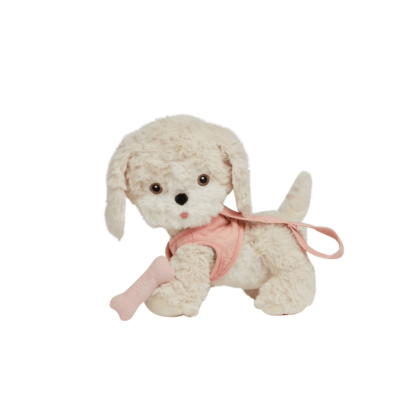Dinkum Dogs Cookie - Aster & Ruby