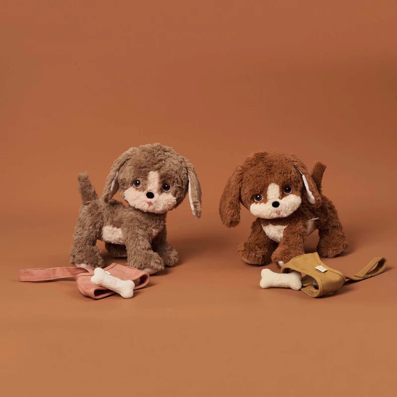Dinkum Dogs Honey - Aster & Ruby