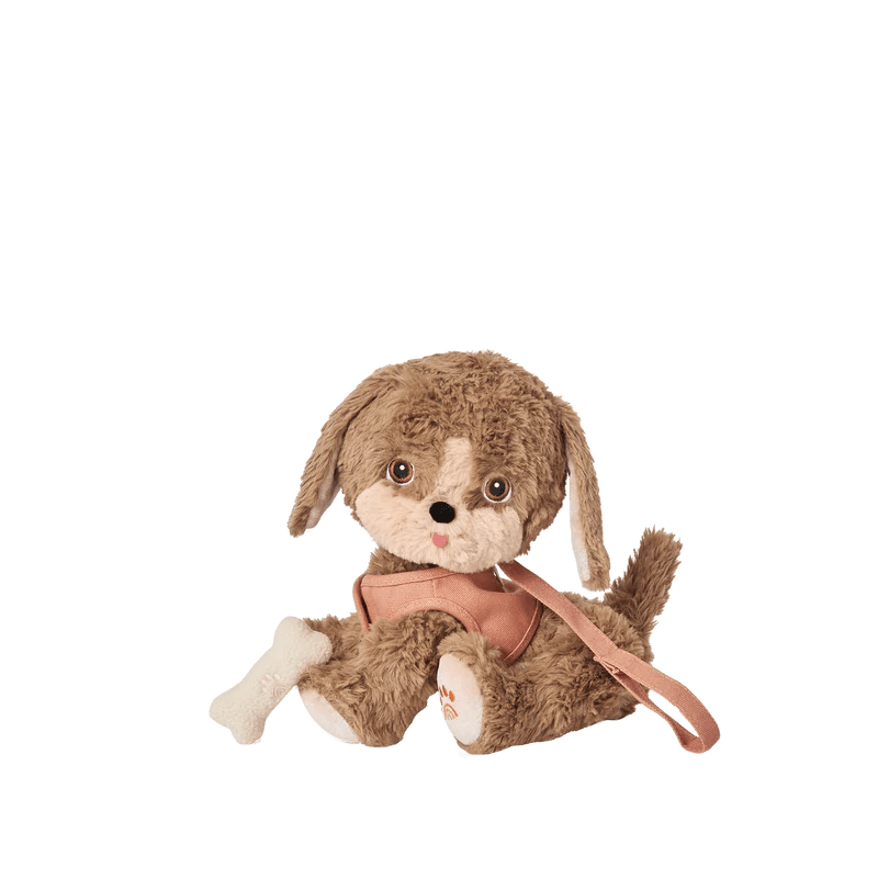 Dinkum Dogs Honey - Aster & Ruby