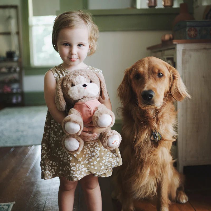 Dinkum Dogs Honey - Aster & Ruby