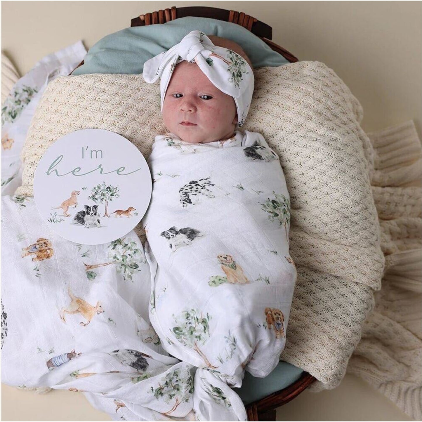 Snuggle Hunny Dog Park Organic Muslin Wrap | Aster & Ruby