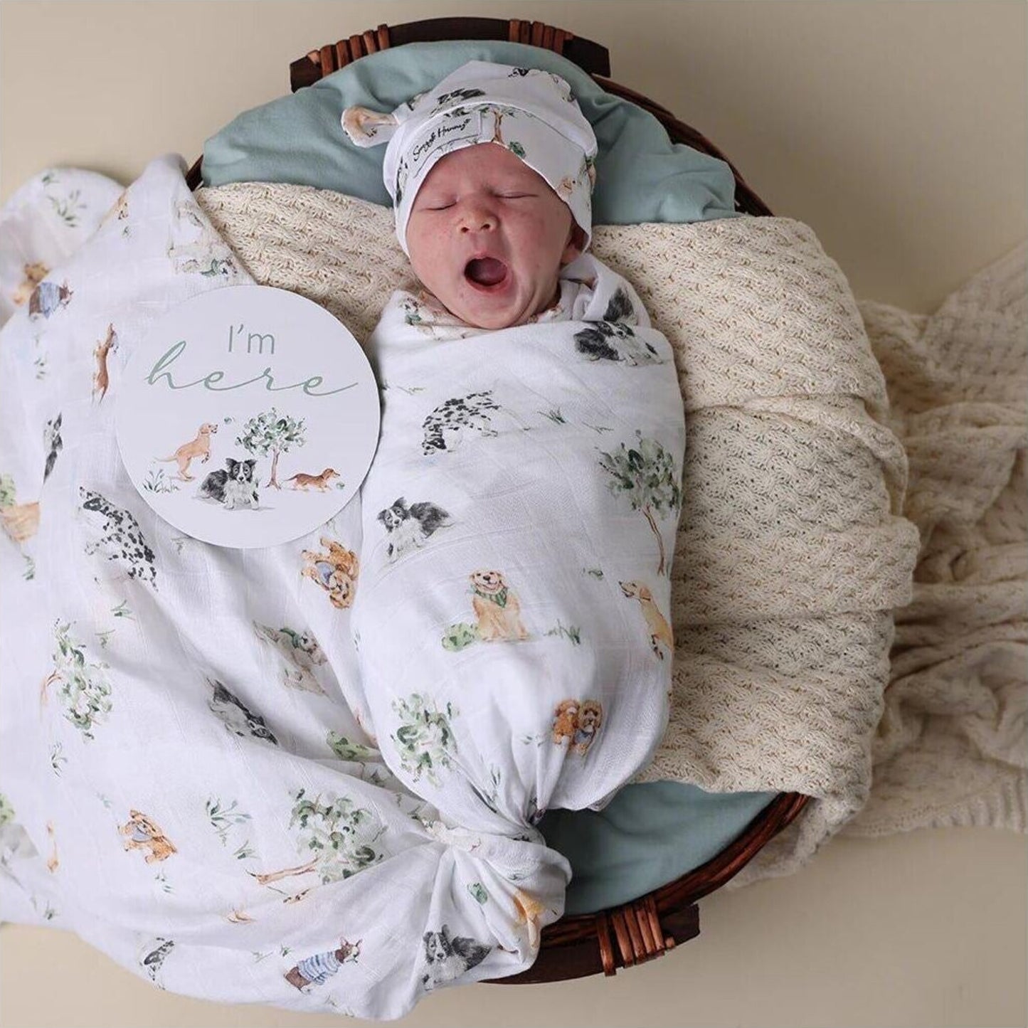 Snuggle Hunny Dog Park Organic Muslin Wrap | Aster & Ruby